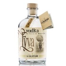 VODKA LF EYVA LV TUBE LT.1