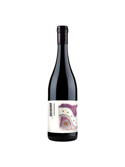 GILLO DORFLES IGT PAESTUM AGLIANICO BIO CL.75 SAN SALVATORE