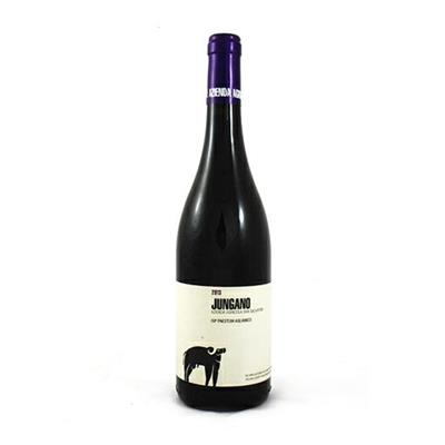 JUNGANO IGP PAESTUM AGLIANICO LT.1,5 SAN SALVATORE