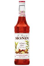 MONIN SCIROPPO WINTER SPICE CL.70