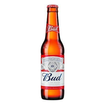 BIRRA BUD CL.33X24 VP