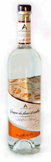 GRAPPA FIANO ANTONELLIS CL.70